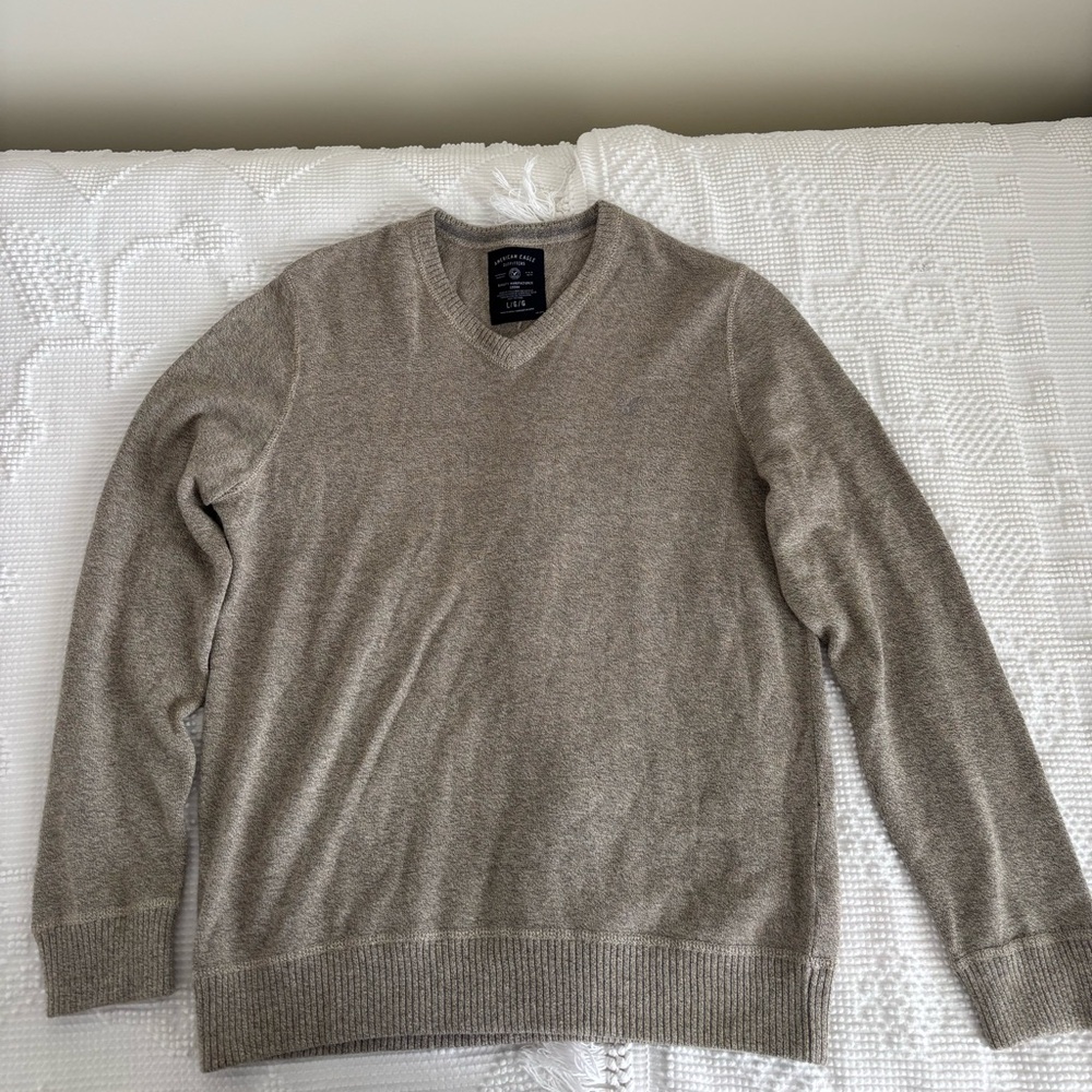 Men’s American Eagle V-neck Sweater